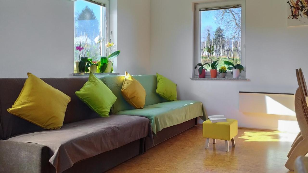 Apartments Vinska Trta Catez ob Savi Dış mekan fotoğraf