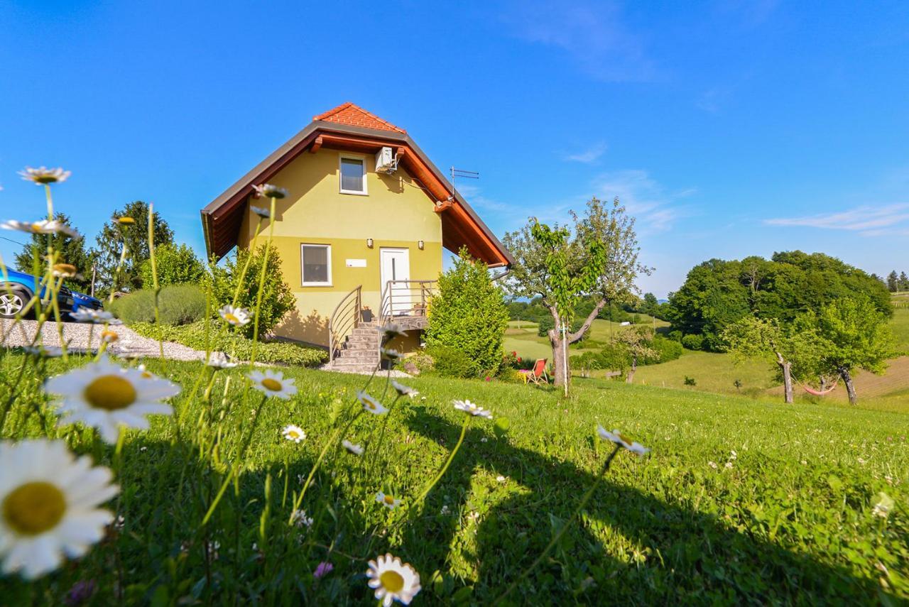 Apartments Vinska Trta Catez ob Savi Dış mekan fotoğraf