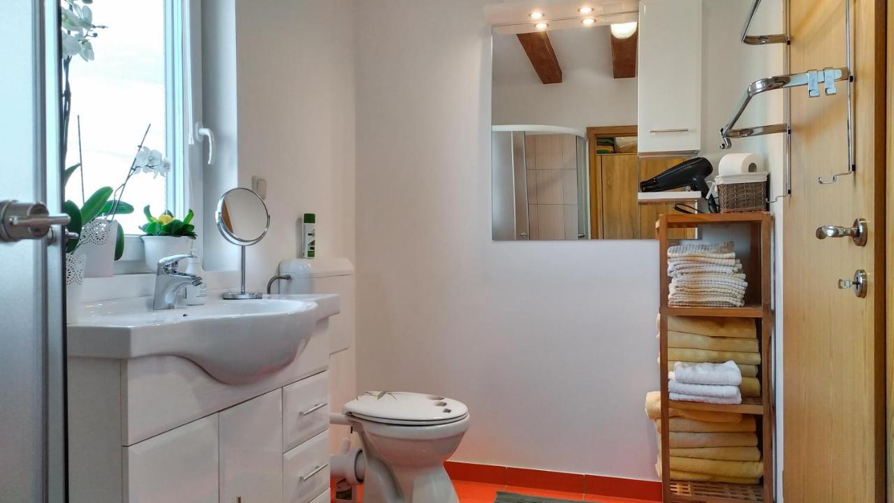 Apartments Vinska Trta Catez ob Savi Dış mekan fotoğraf