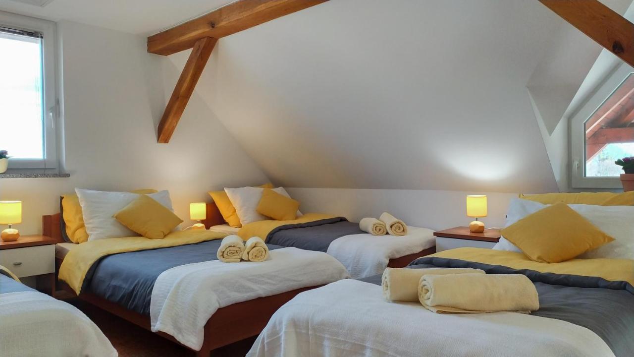 Apartments Vinska Trta Catez ob Savi Dış mekan fotoğraf
