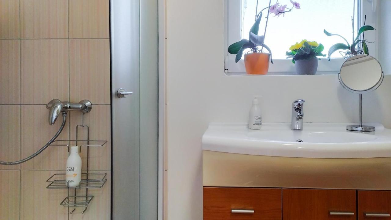 Apartments Vinska Trta Catez ob Savi Dış mekan fotoğraf